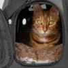 Transportväska till katt, hund och kanin
