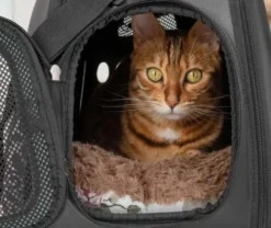 Transportväska till katt, hund och kanin