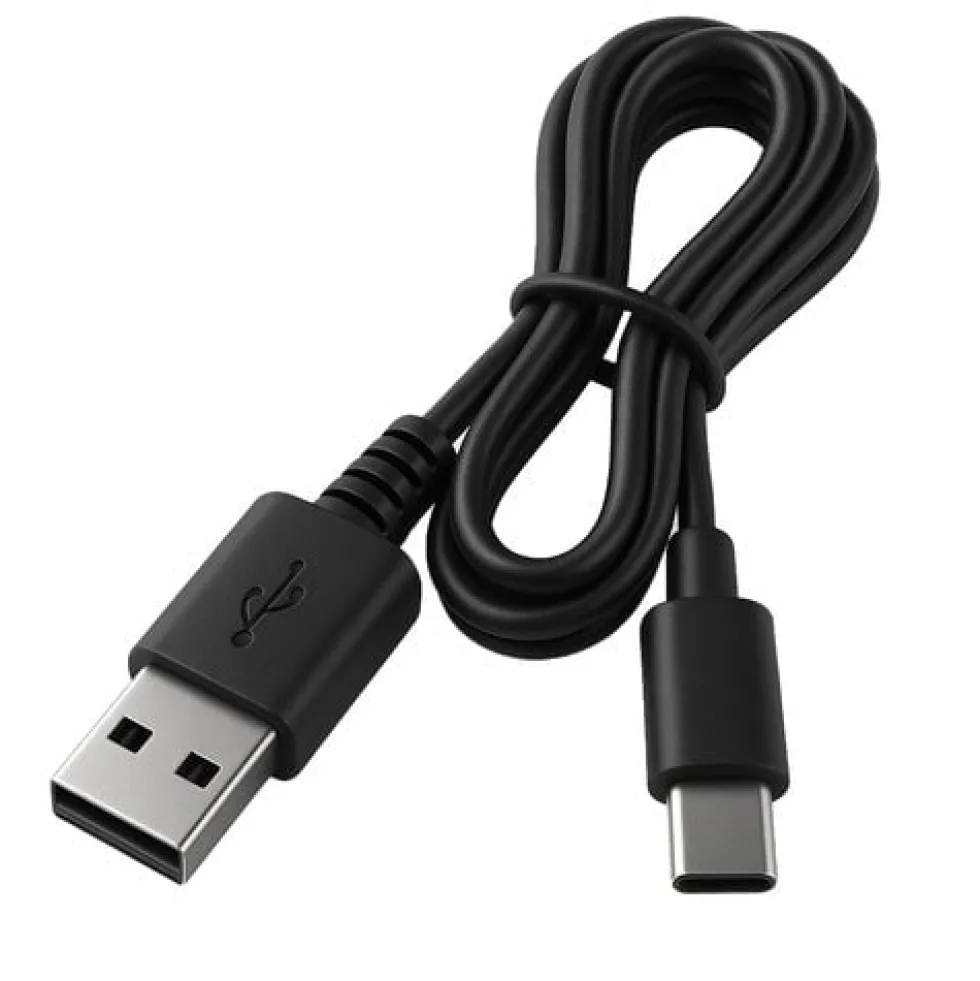Trådlös bildammsugare 50W 2600mAh USB-C med munstycken och väska