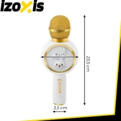 Trådlös karaoke mikrofon för barn Bluetooth 5.1 5W LED vit