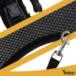 Tryckfri hundsele/kattsele S justerbar med koppel 150 cm reflex
