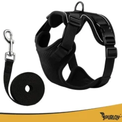 Tryckfri hundsele/kattsele S justerbar med koppel 150 cm reflex