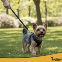 Tryckfri hundsele/kattsele S justerbar med koppel 150 cm reflex