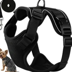 Tryckfri hundsele/kattsele S justerbar med koppel 150 cm reflex