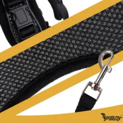 Tryckfri sele hund/katt M med reflex, justerbar + koppel 150 cm