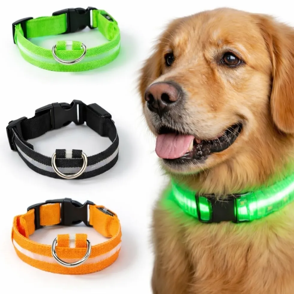 Uppladdningsbart LED-hundhalsband / Reflex & Halsband för hund