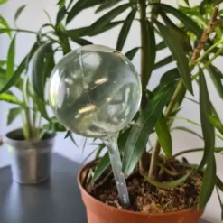 Vattningskulor 8-pack 280 ml transparent PVC för krukväxter