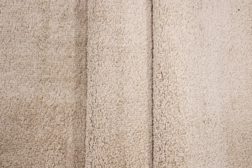 Venture Home Walter Oval Matta 340 x 240 Beige