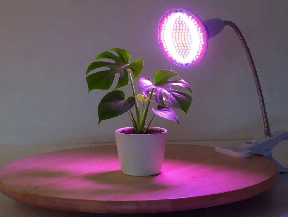 Växtlampa med klämma för växtbelysning