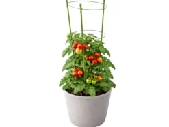 Växtstöd 120 cm med 3 justerbara ringar grön metall/plast