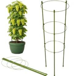 Växtstöd 120 cm med 3 justerbara ringar grön metall/plast